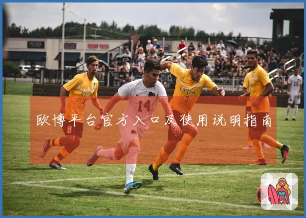 欧博平台官方入口及使用说明指南