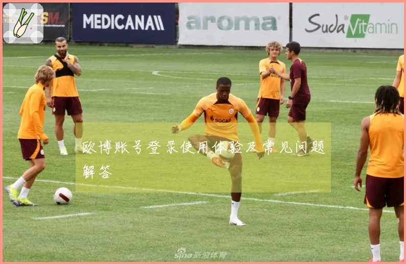 欧博账号登录使用体验及常见问题解答
