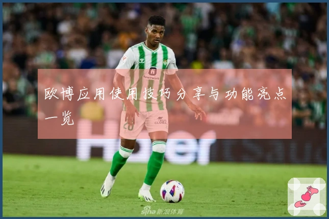 欧博应用使用技巧分享与功能亮点一览