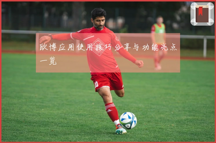 欧博应用使用技巧分享与功能亮点一览
