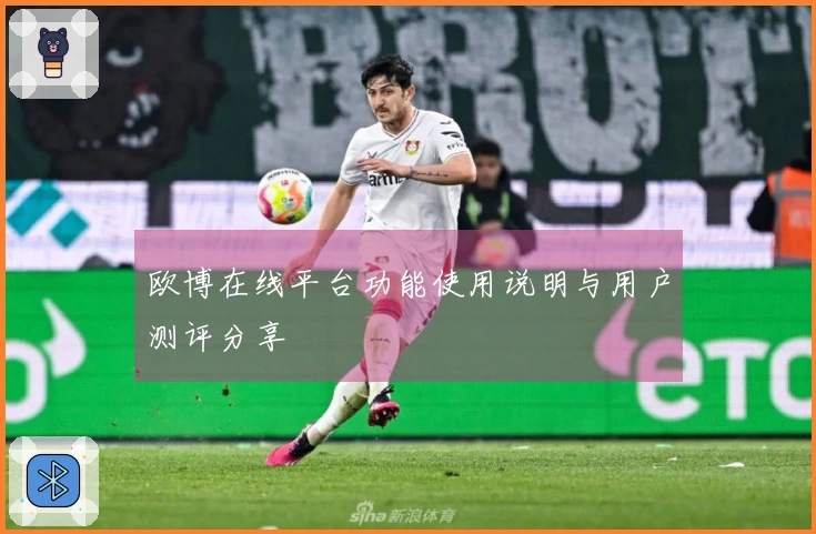 欧博在线平台功能使用说明与用户测评分享